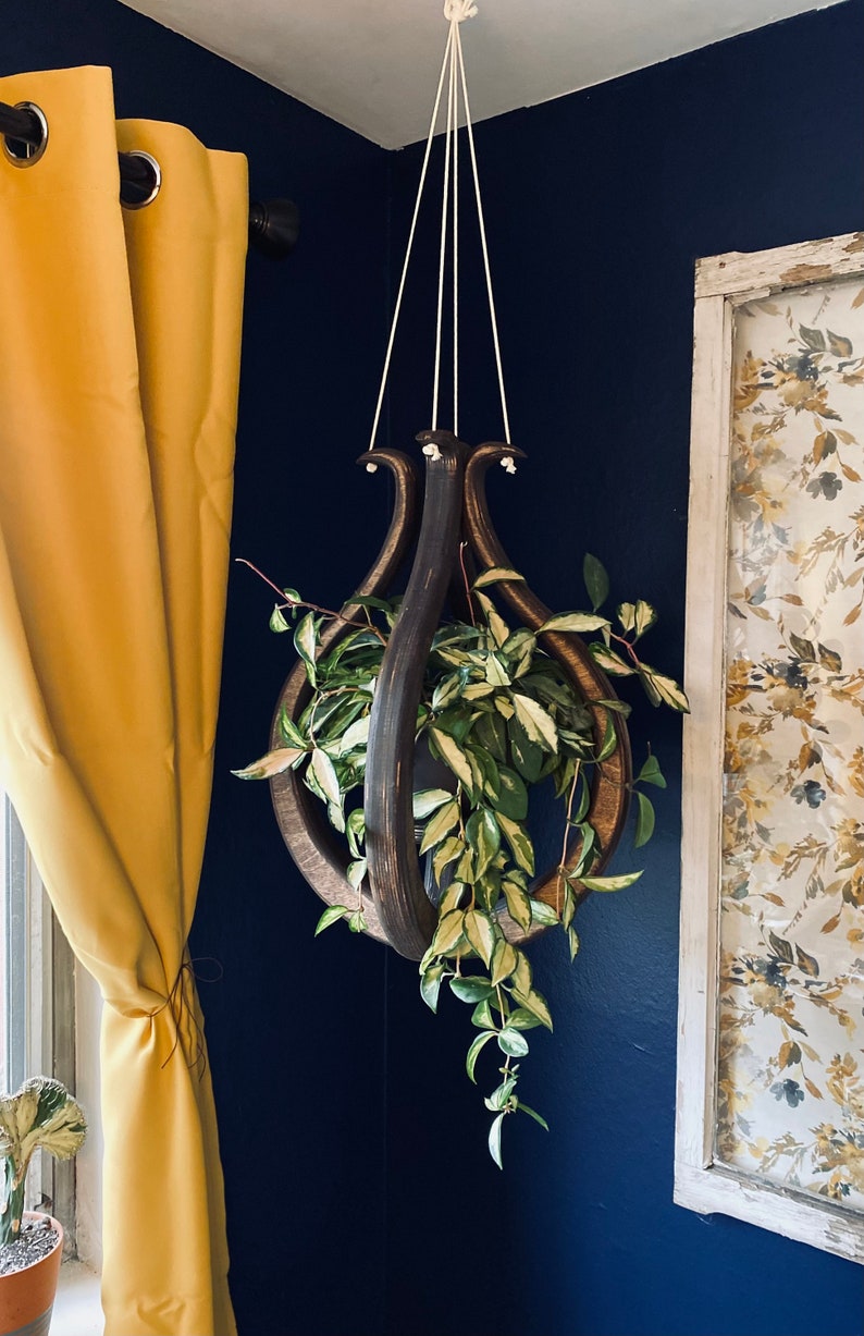 May include: A dark wooden hanging planter with a leafy plant inside. The planter is hanging from a white cord against a dark blue wall. The plant has green leaves with white variegation.
