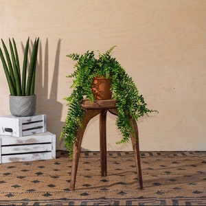 Soporte para plantas pequeño, taburete para plantas, estante para plantas, mesa auxiliar, soporte para plantas de interior, plantas de interior, plantas, colgador de plantas, mesa de madera, jardinera de interior