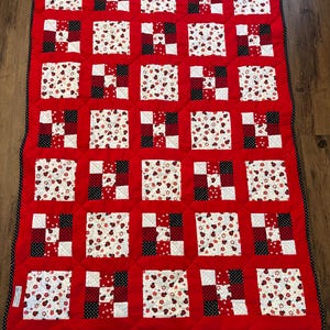 May include: A red and white quilt with a black polka dot border. The quilt is made up of squares with different patterns, including ladybugs, flowers, and polka dots.