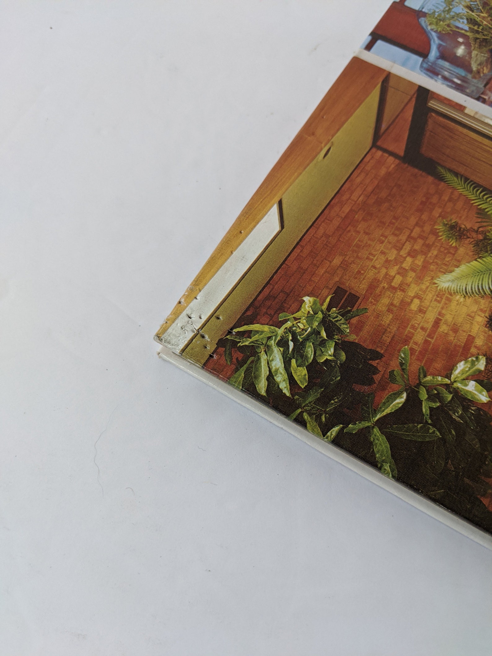 Vintage bessere Häuser und Gärten Haus Pflanzen Buch 1970er | Etsy