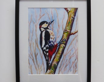 Woodpecker - bird print