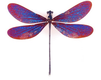 Real damselfly Blue metallic gem Vestalis melania for art project, Unmounted exotic insect for taxidermy for artwork 65-70mm