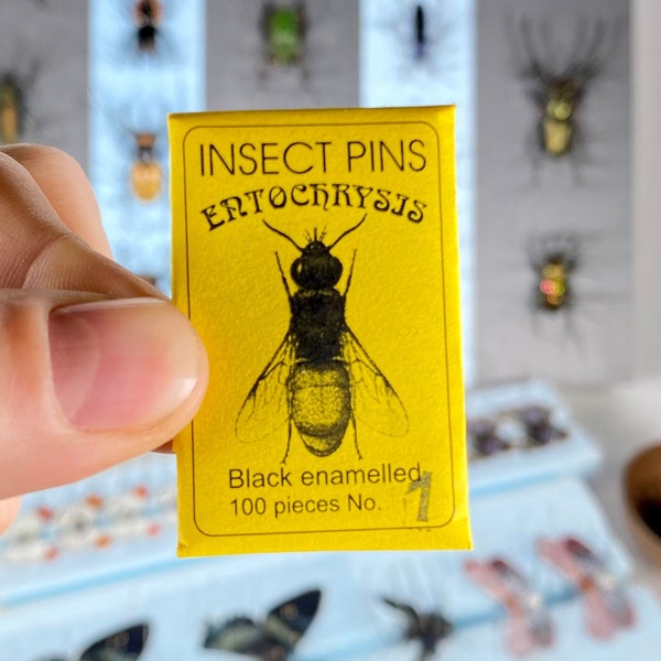 Pack of 100 professional quality entomological pins made in europe. best quality on the market ! Several calibers available