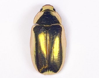 Golden cabochon handmade from real beetle Chrysina resplendens, resin filled scarab insect for artwork or DIY project