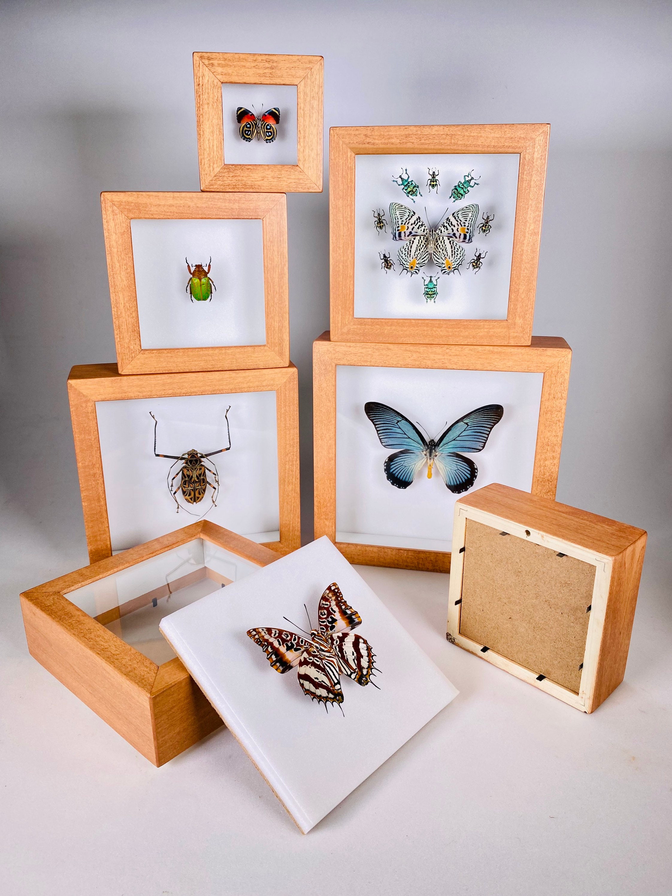 FRAME/WHAT'S TO SAY メロハーAOR FRAME - Maple Color Hardwood Square Frame in Various Sizes for