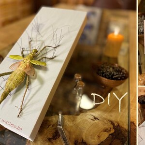 Giant stick insect for artwork Heteropteryx dilatata image 10