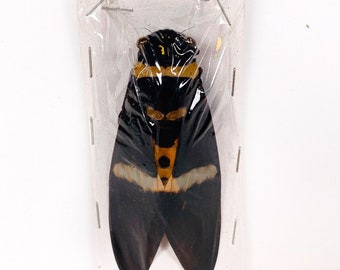 ドンダバダ➄　SC-A371 シロカ　4台 SCeaTa(シータ) CT4-LX DT305 ハクリ仕様 ｜ サトーラベルストア