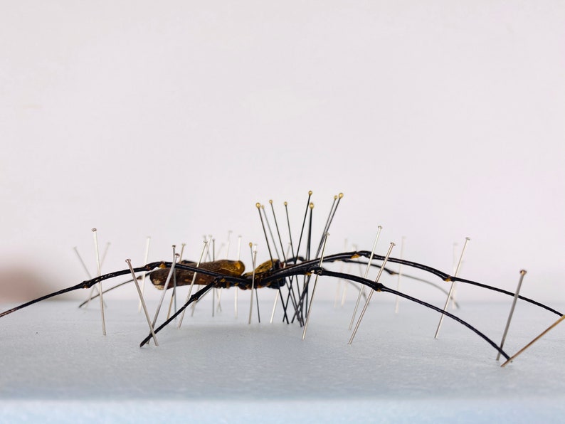 Araignée femelle nephila de haute qualité pour l'œuvre d'art Nephila pelipes or clavipes image 8