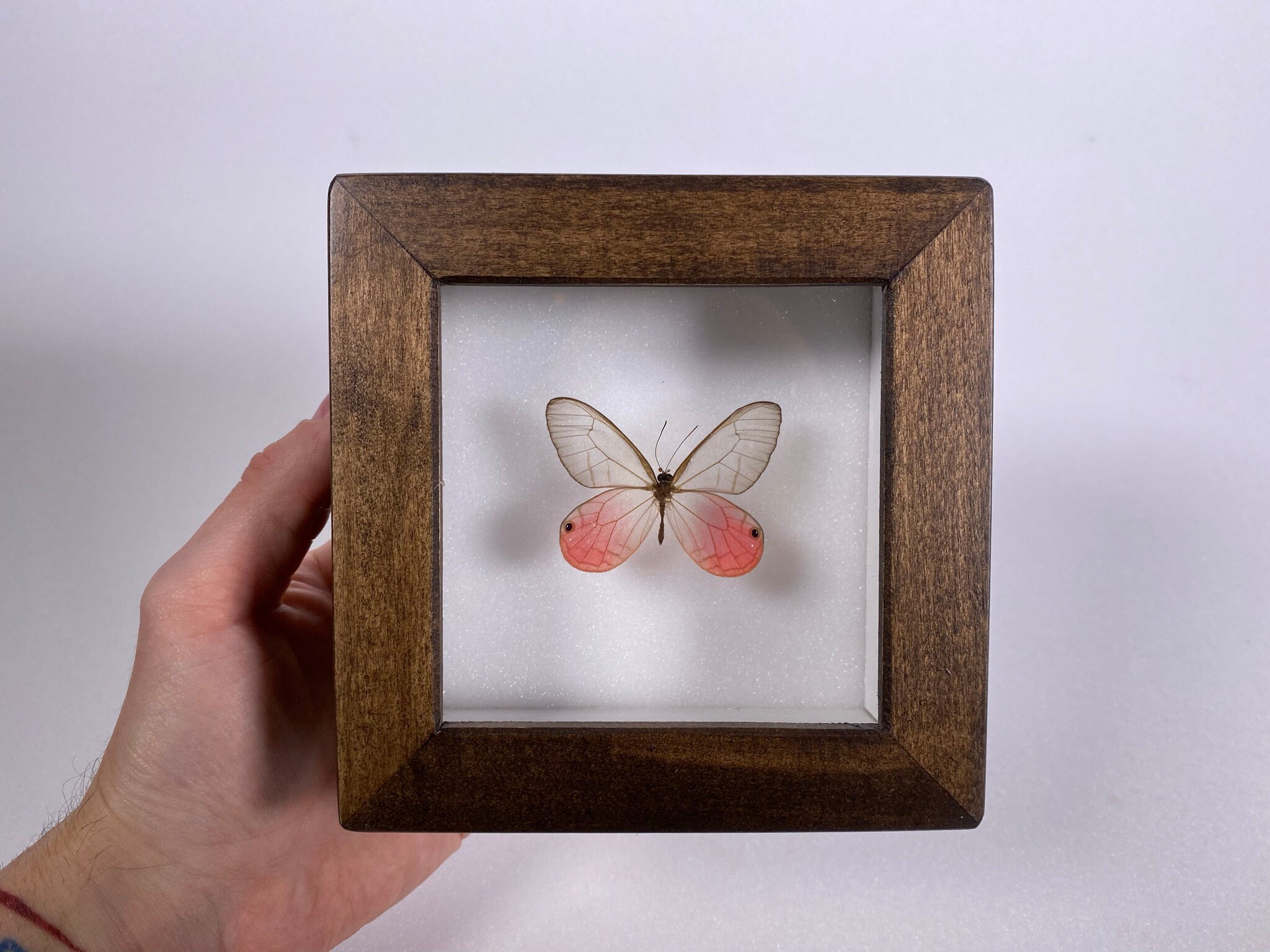 【BURGA】バタフライ・蝶々☆Energy☆AURAコレクション機種各種 Baccarat Papillon Lucky Butterfly Figurine Mini Blue