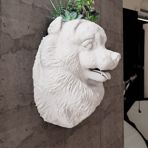Puede incluir: Maceta de cerámica blanca en forma de cabeza de perro con una planta suculenta que crece en la parte superior. La maceta está montada en una pared gris.