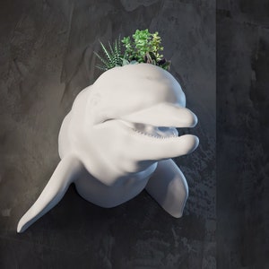 Puede incluir: Maceta de cerámica blanca en forma de delfín con una planta suculenta verde que crece en la parte superior.