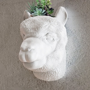 Llama head wall planter, wall mount, flower vase, pot, alpaca head, farm decor, farm animal decor