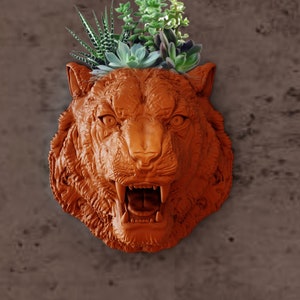 May include: A terracotta tiger head planter with a fierce expression, featuring a wide open mouth and sharp teeth. The planter is filled with green succulents.