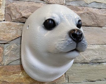 seal head cute wall mount, swimming sea creature head taxidermy, Ocean animal wall art decor