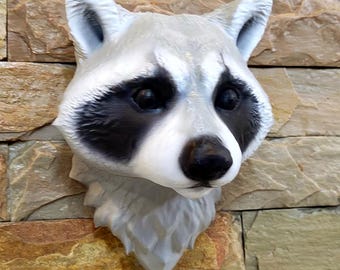 Raccoon fur mammal Head wall mount, rodent wildlife Animal Wall Decor, cute animal home decor wall taxidermy art
