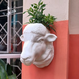 May include: White ceramic sheep head planter with green plants growing out of the top. The planter is mounted on a wall with a light pink and white background.
