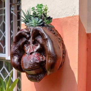 May include: A brown, wooden, orangutan-shaped planter with a variety of succulents growing inside. The planter is mounted on a pink wall.