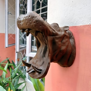 3d jungle animal heads, Hippo head wall mount, Hippopotamus mouth open, home and living, outdoor and gardening, home decor, wall decor