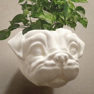 Pug head planter, wallmount planter, home and living, outdoor and gardening, planters  and pots, indoor planters, dog planter, pet planter