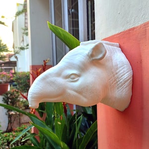 3d jungle animal heads, Tapir head wall mount, home and living,animal head wall mount outdoor and gardening, home decor, wall decor