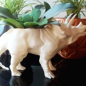 May include: A cream-colored triceratops planter, with three horns and a frill, holds green plants. The dinosaur-shaped pot is on a black surface, with other plants in the background.