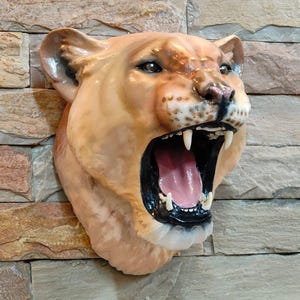 May include: A wall-mounted sculpture of a lioness head featuring a tan coat, dark eyes, and an open mouth revealing a pink tongue and sharp white teeth. The feline head is rendered in a realistic style with detailed facial features and texture.