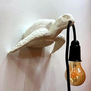 May include: A white turtle-shaped wall lamp with a black cord and a large, warm-toned light bulb. The turtle is mounted on a white wall, creating a unique lighting fixture.