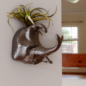 May include: A brown ceramic planter shaped like a beetle with an air plant growing out of the top.