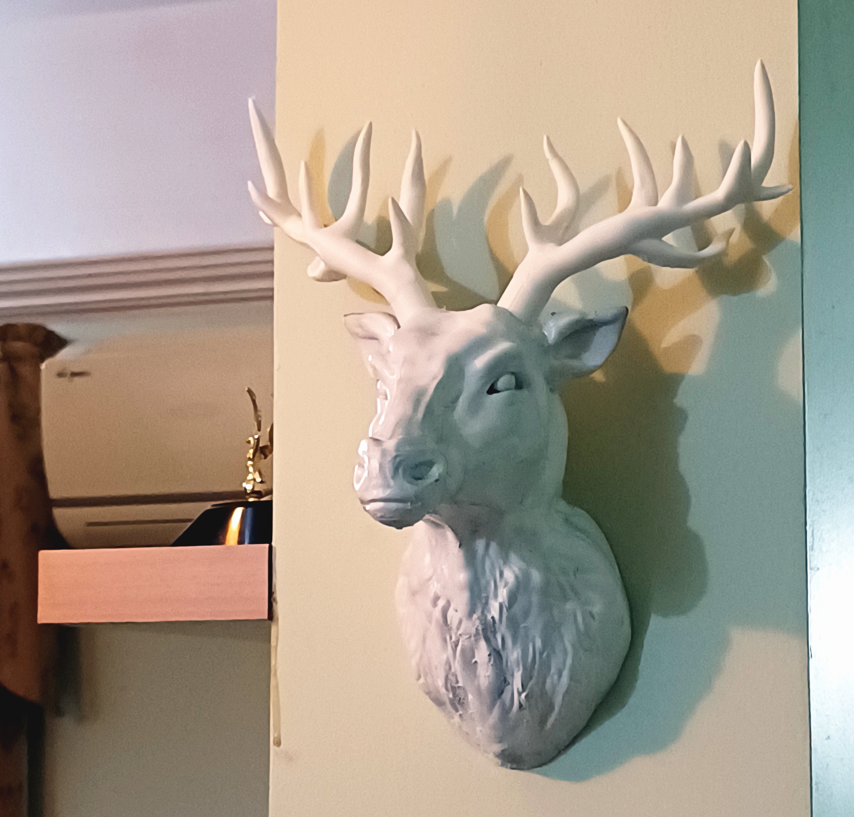 Wall Mount Deer Head Etsy