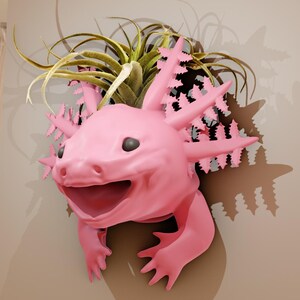 May include: A pink axolotl sculpture with a green air plant growing out of its head. The sculpture is mounted on a wall.