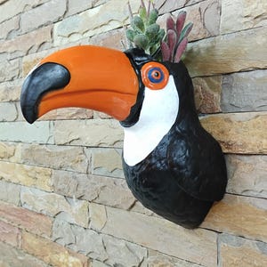 Maceta de pared con cabeza de tucán, florero, cabeza de pájaro, arte de pared, decoración, montaje en pared, aves de corral, taxidermia de cabezas, cabezas de animales de la jungla en 3D