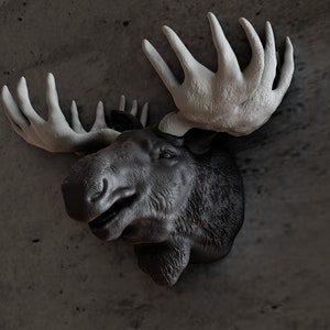 Wall mounted Moose head, Faux taxidermy for home decor, deer, elk, stag, jungle animal, buck, trophies