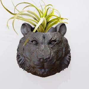 May include: A black ceramic planter shaped like a tiger's head with a green air plant growing inside.
