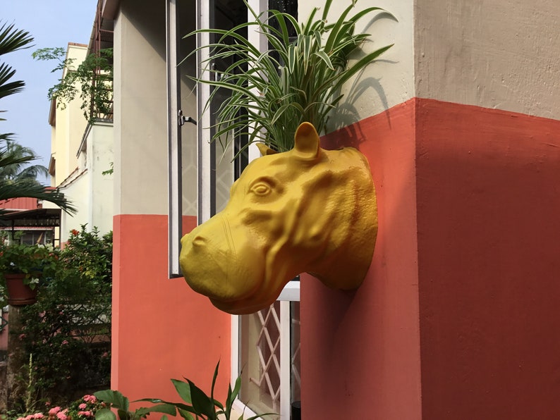 Hippo Head Planter Handmade Animal Planter Wall mounted Etsy