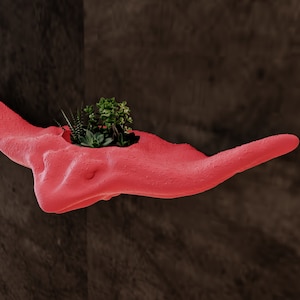 May include: A pink, wall-mounted planter shaped like a manta ray with a small succulent plant growing inside.
