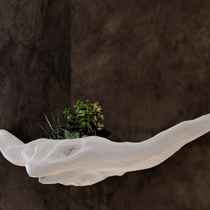 May include: White hand-shaped shelf with a small potted succulent plant on top. The shelf is mounted on a dark gray wall.