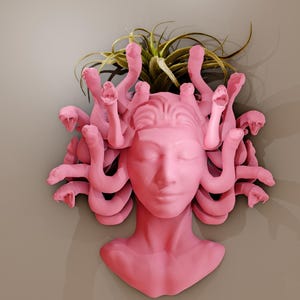 Puede incluir: Maceta de pared de cerámica rosa en forma de Medusa, la figura mitológica griega con serpientes por cabello. La maceta tiene una cara con los ojos cerrados y una planta que crece en la parte superior.