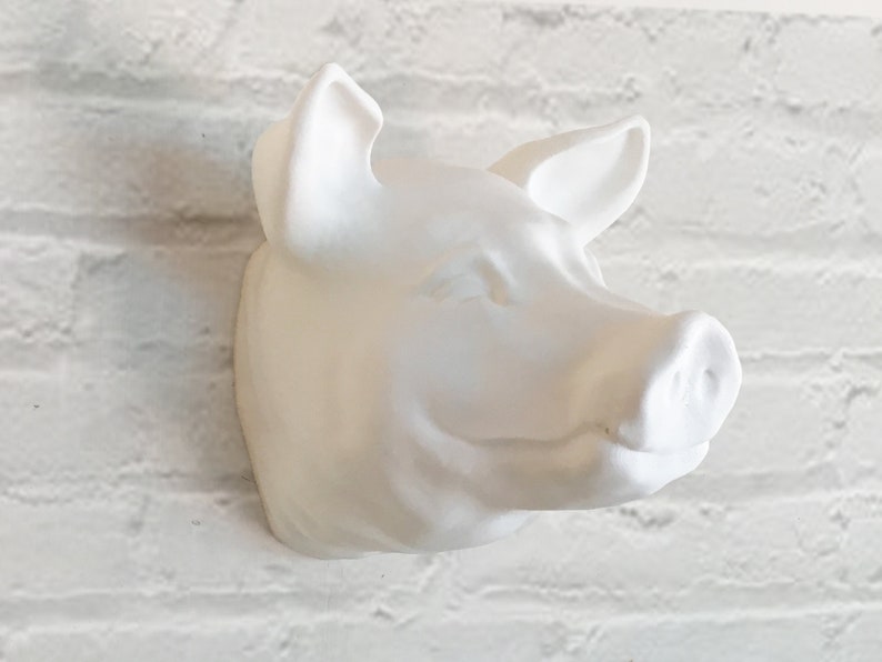 AspireTree Pig Head Wall Mount