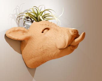 cow calf wall mount mooing tongue out planter pot flower vase cactus succulent farm and home decor, jersey cow head