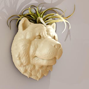 May include: A cream-colored ceramic planter shaped like a Chow Chow dog's head with a green air plant growing out of the top.