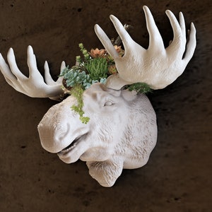 Könnte beinhalten: Weißer Keramik-Elchkopf-Pflanztopf mit grünen Sukkulenten und Blumen.