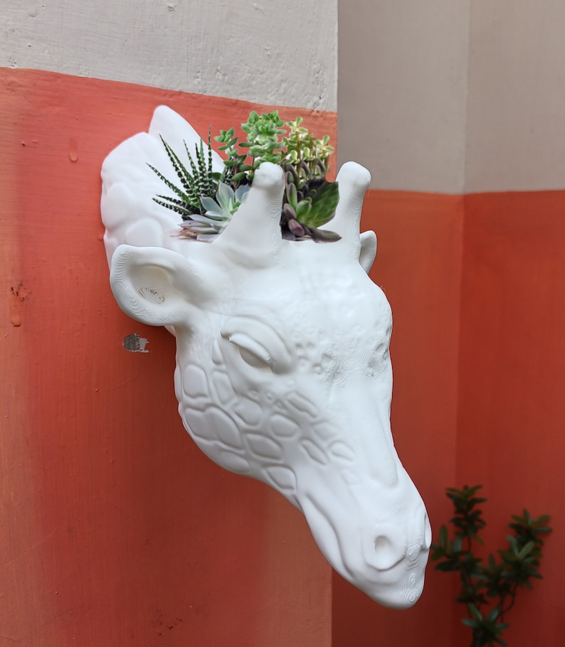 Giraffe Head Wall Planter White Faux Taxidermy Animal Head Etsy