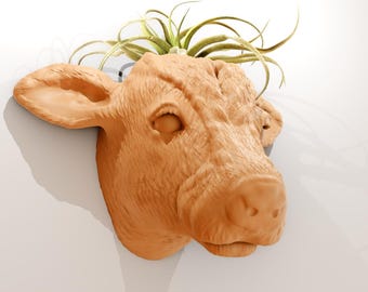 cow calf wall mount planter pot flower vase cactus succulent farm and home decor, jersey cow head