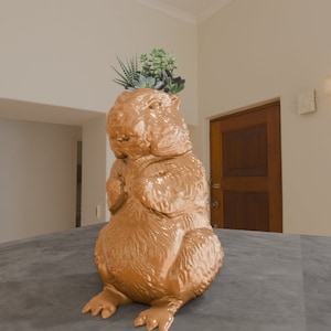 Puede incluir: Un macetero de cerámica marrón con forma de marmota sentada con una pequeña planta suculenta que crece en la parte superior de su cabeza.