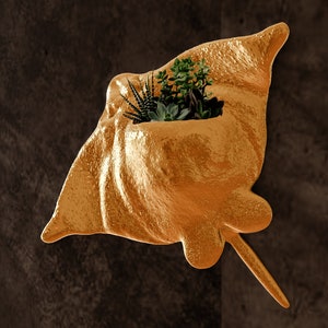 May include: A gold-colored, wall-mounted planter shaped like a stingray, with a small succulent plant growing inside.