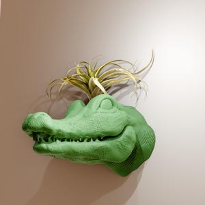 May include: A green alligator head planter with a small air plant growing out of the top.