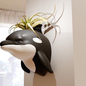 Può includere: Un vaso da fiori a forma di orca bianco e nero con una pianta aerea verde che cresce dalla cima.