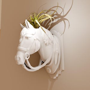 Peut inclure: Décoration murale en forme de tête de cheval en céramique blanche avec une plante verte qui pousse sur le dessus. La tête de cheval est fixée au mur et est équipée d'une bride en cuir.