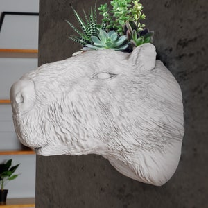May include: A white ceramic planter shaped like a capybara head with a variety of succulents growing inside. The planter is mounted on a gray wall.
