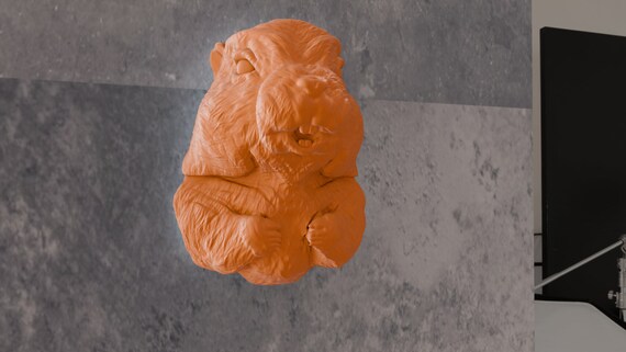 プレーリードッグの壁掛け マーモットの笑顔の頭の壁掛け、プレーリードッグ、かわいい、子供部屋